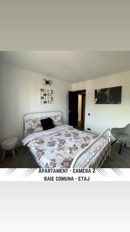 Vila Mik Guesthouse Săcele Eksteriør billede